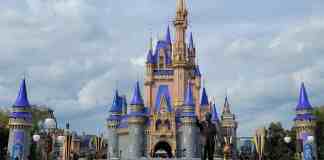 magic kingdom castle