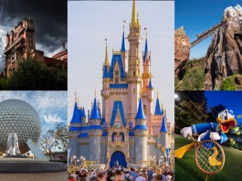 Walt Disney World Theme Park and Resorts