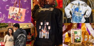 Disneyland 70th Anniversary Merch