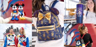 Disney Destiny Merchandise Collections
