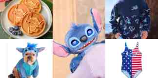 Stitch Merch