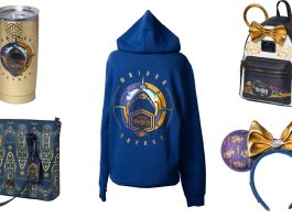 disney destiny merch