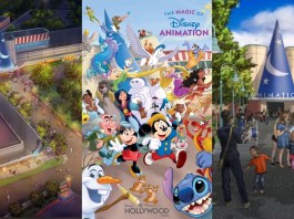 Disney Animation Experience