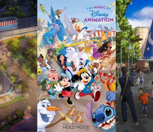 Disney Animation Experience