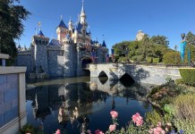 How Many Days Should You Spend at Disneyland Resort?