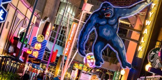 The Ultimate Guide to Universal CityWalk Hollywood
