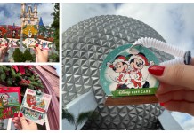 Disney Gift Cards and Pins
