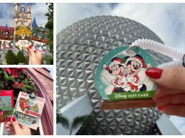 Disney Gift Cards and Pins