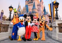 2026 Walt Disney World Vacation