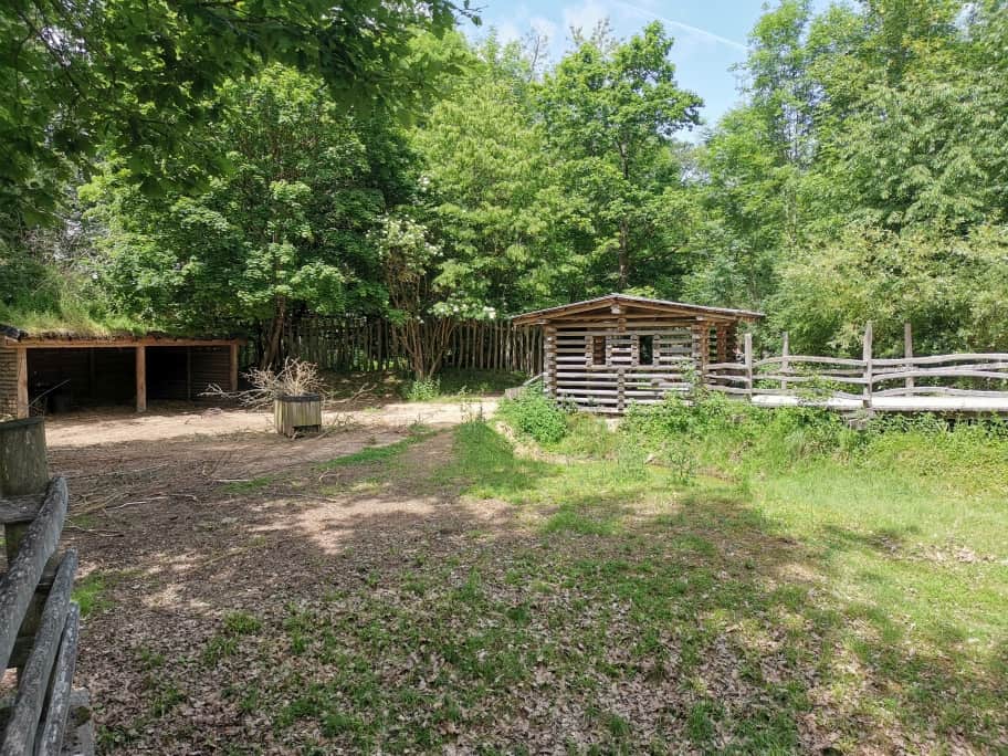 Wildpark Bad Mergentheim