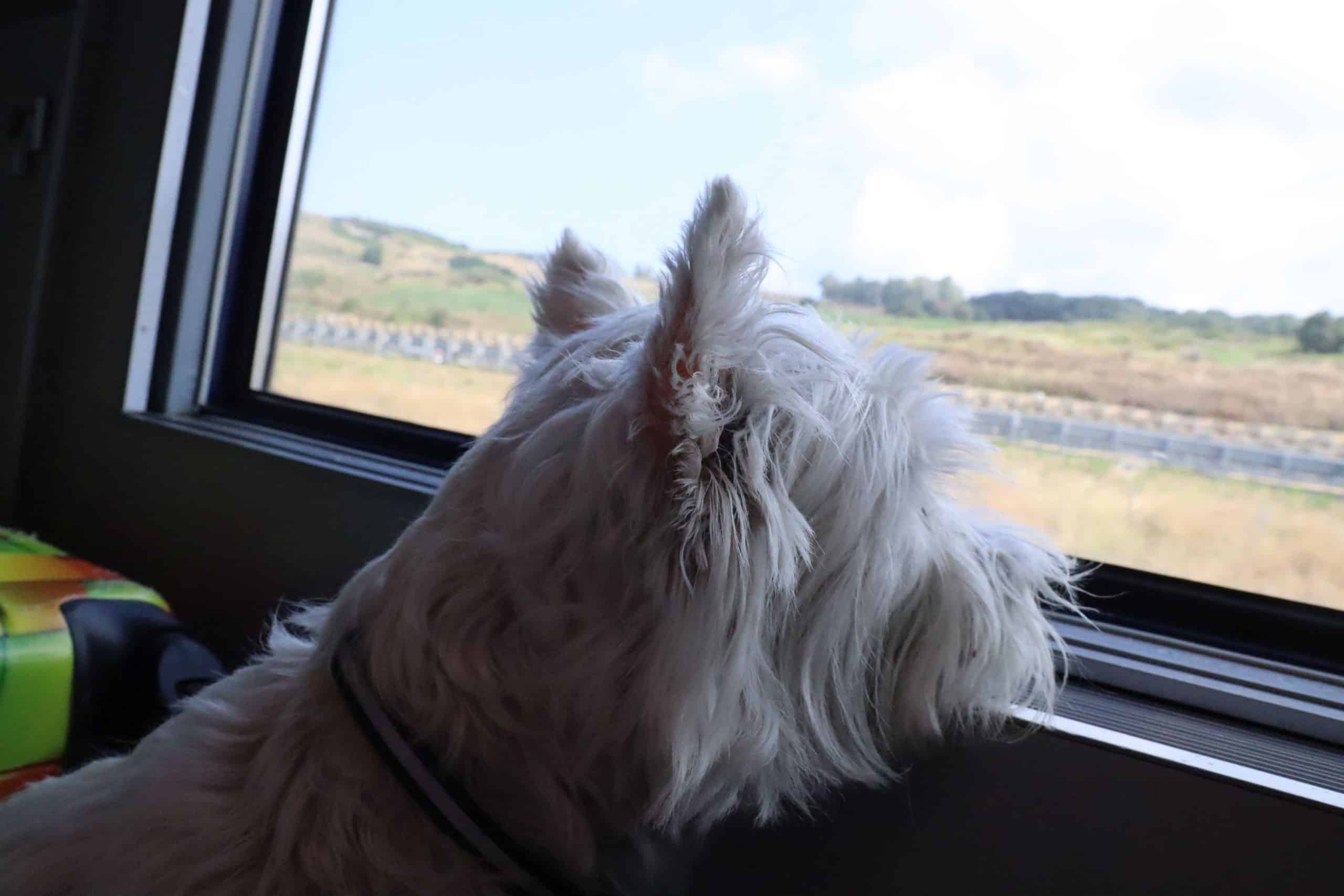 Nachtzug nach Sizilien