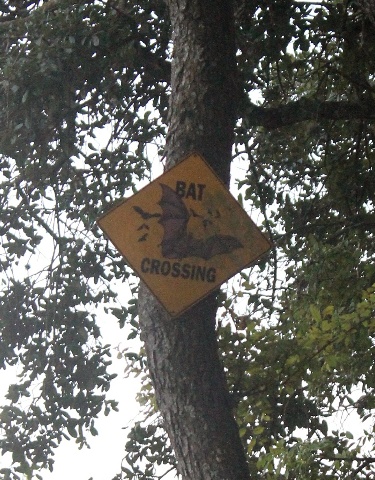 cute sign - lower viewing area - Old Tunnel State Park - Fredericksburg - Texas