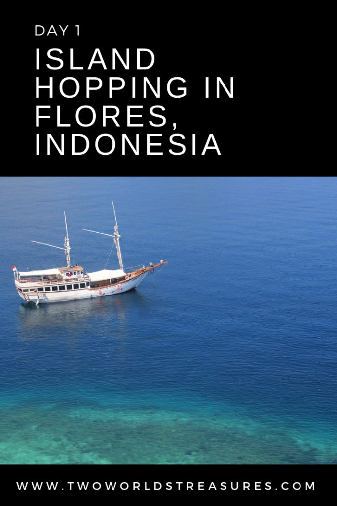 You won't only see the Komodo dragon in their natural habitat, but the underwater world of Flores Island is amazing just as the view from the top of the island. It's better to experience and enjoy the island by doing island hopping for at least two nights like we did. You can play on the beach, snorkeling or diving (whichever your preferences), from island to island.
