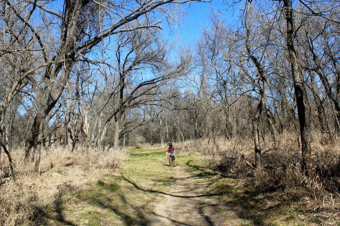Lake_Mineral_Wells_State_Park_cross_timber_yellow_trail