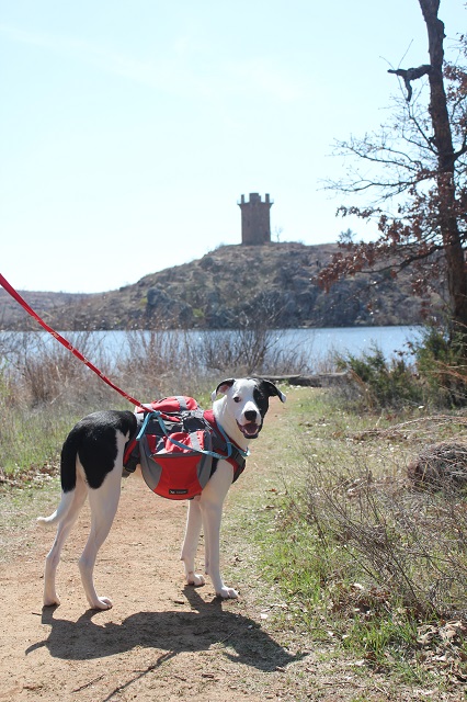 Jed Johnson Tower - Wichita Mountains Wildlife Refuge - Oklahoma