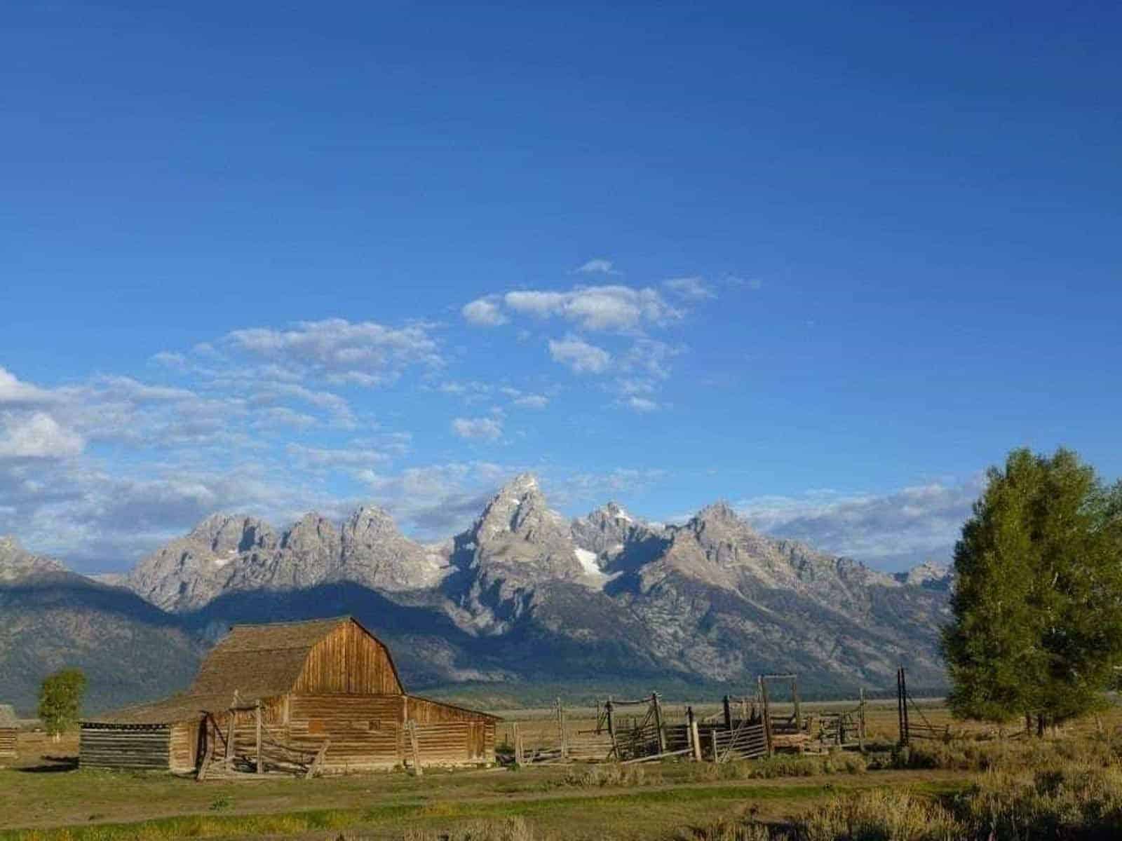 USA - © All rights reserved