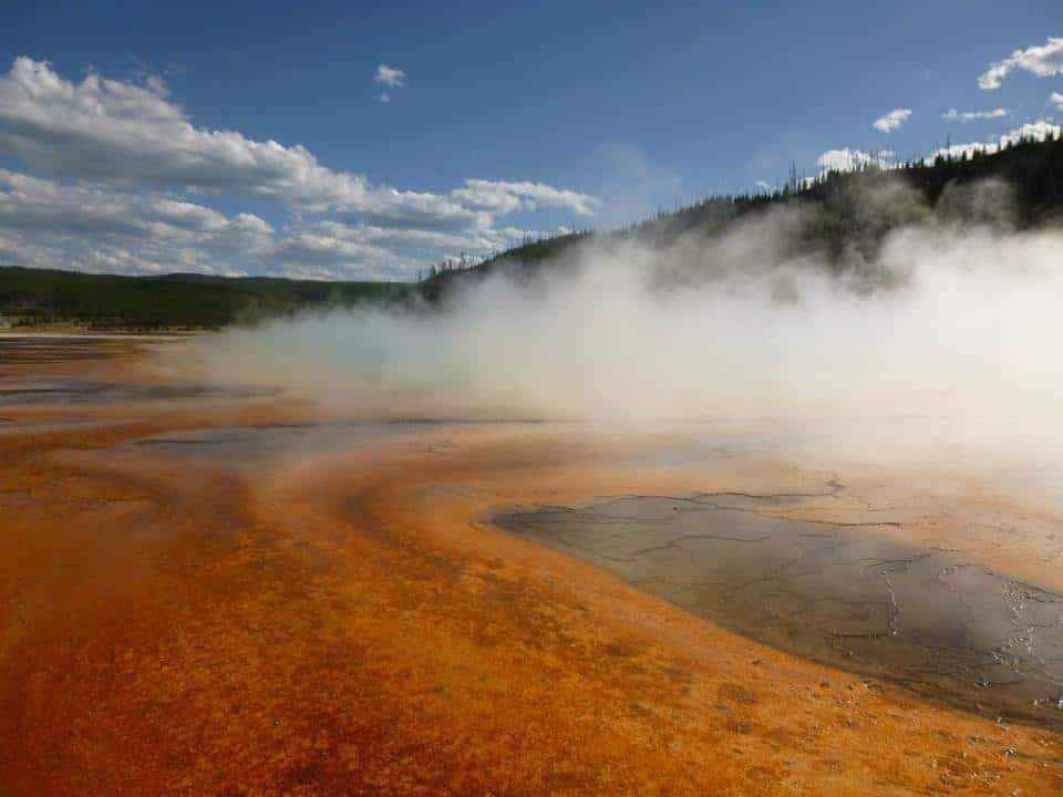 Wilderness is a necessity...even in Europe