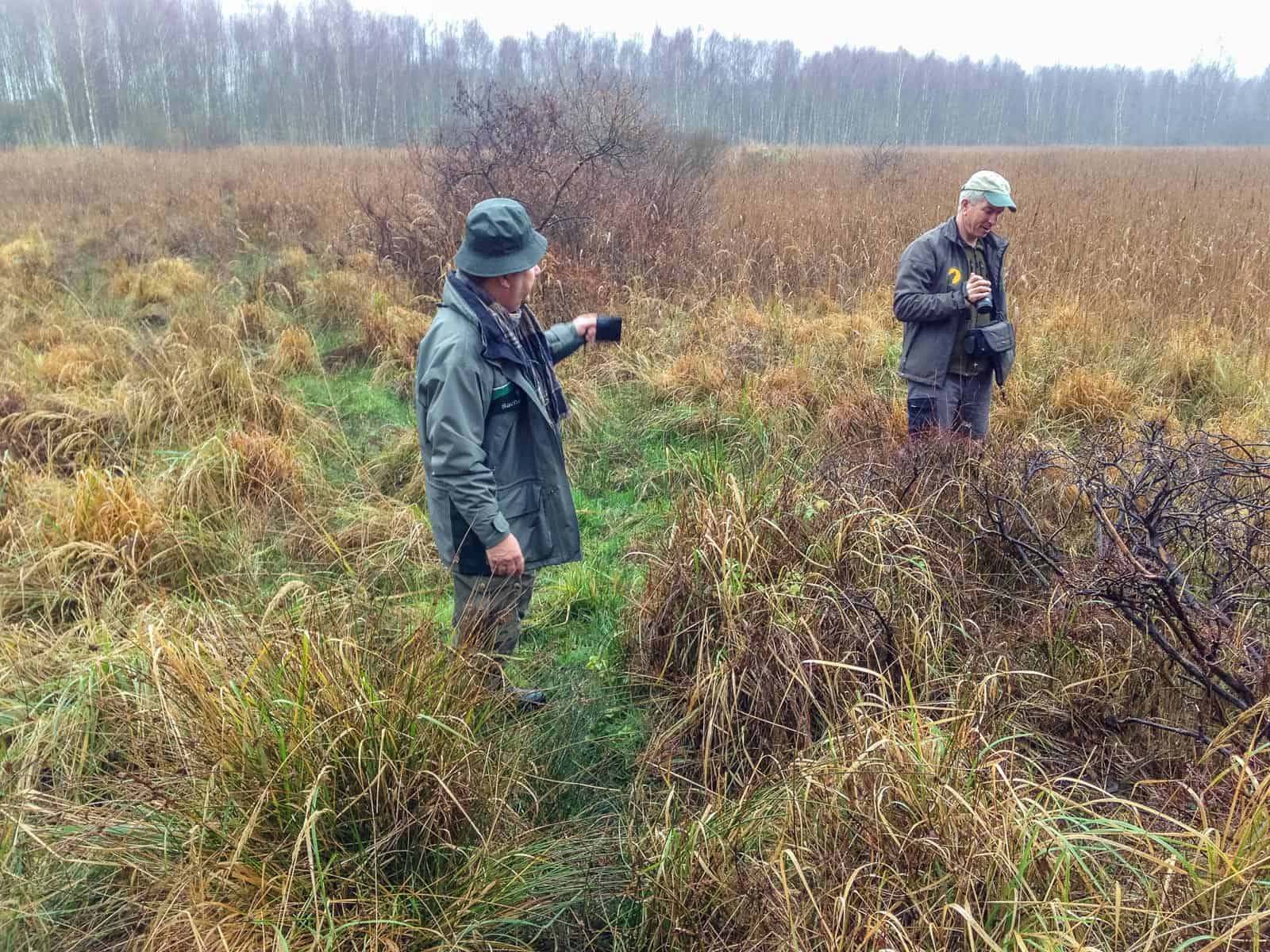 Koenigsbruecker Heide Wilderness 2014 818009.JPG - European Wilderness Society  - CC NonCommercial-NoDerivates 4.0 International