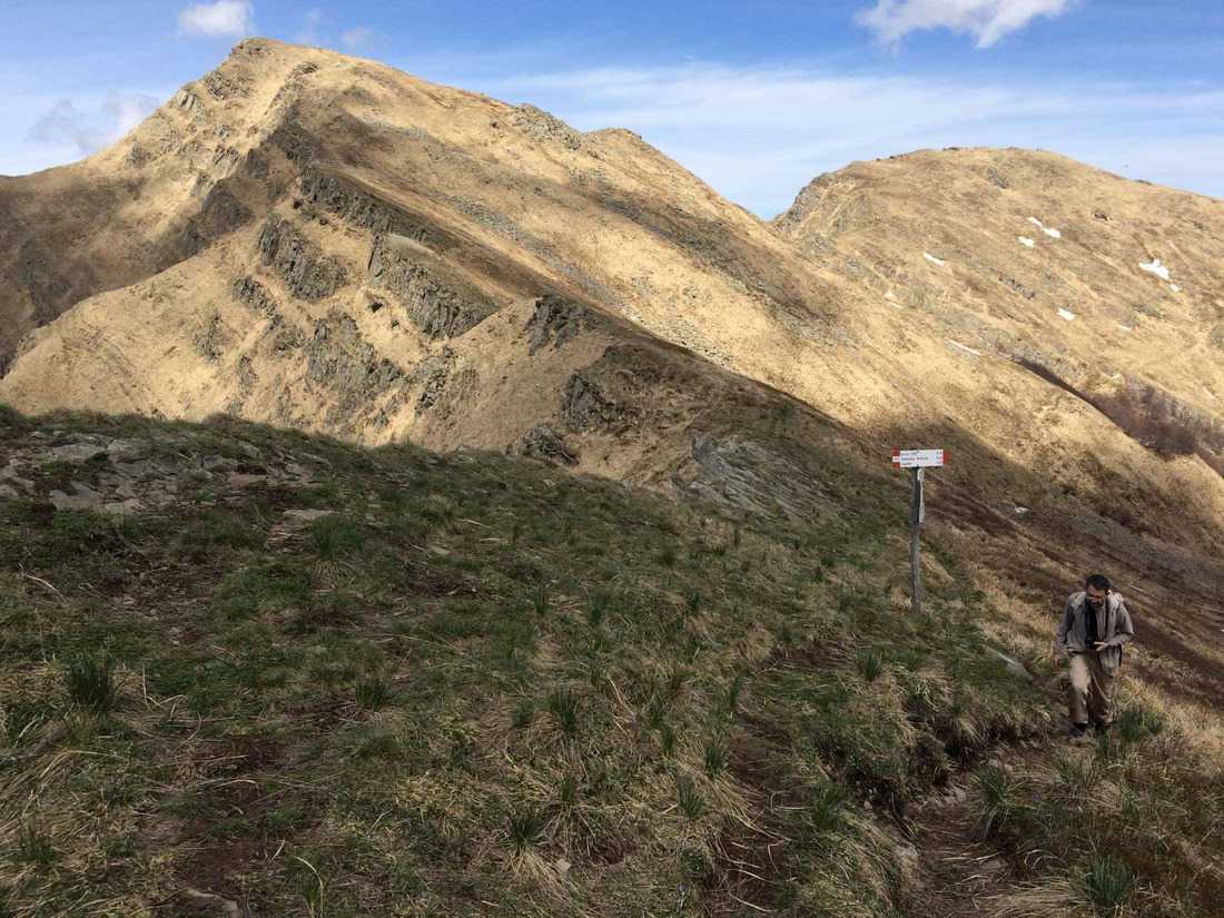 Ecological connectivity between Alps and Apennines