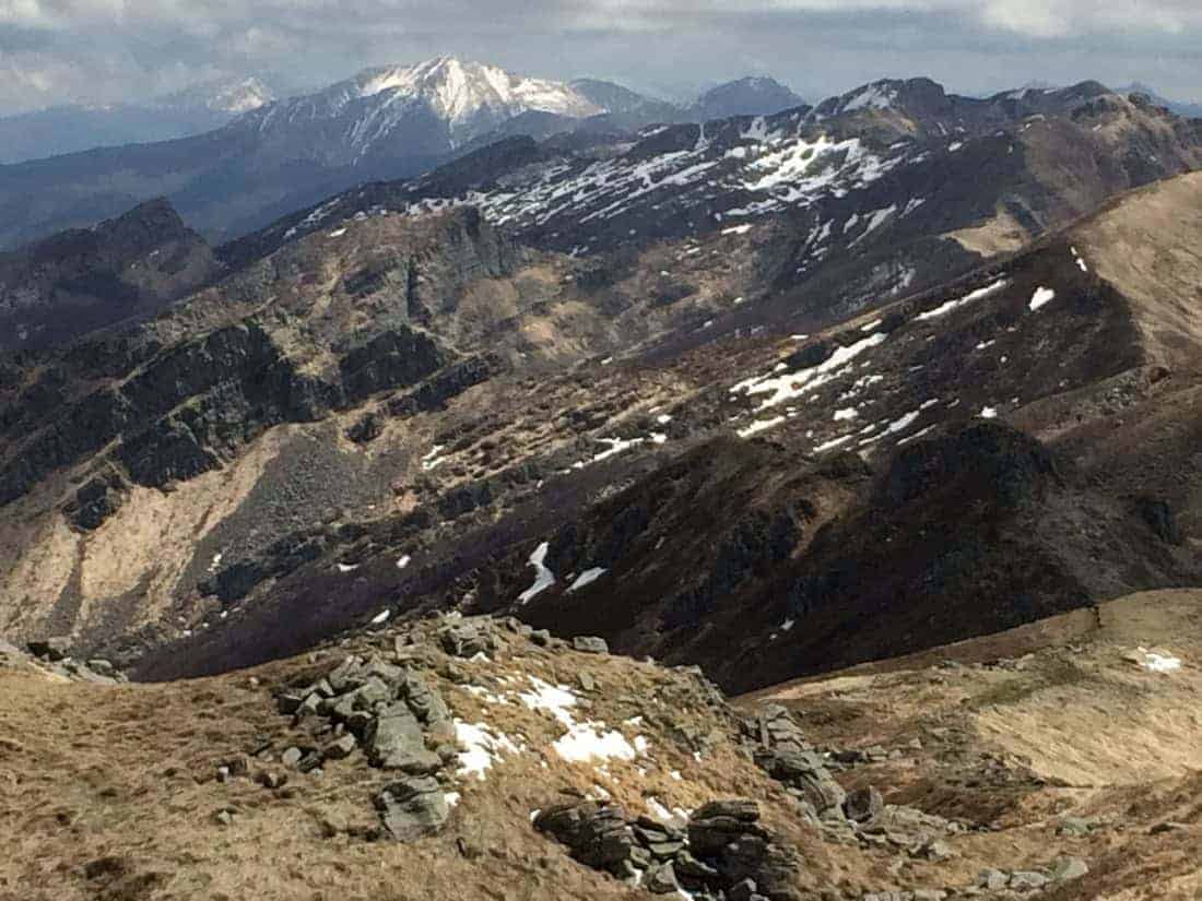 Ecological connectivity between Alps and Apennines