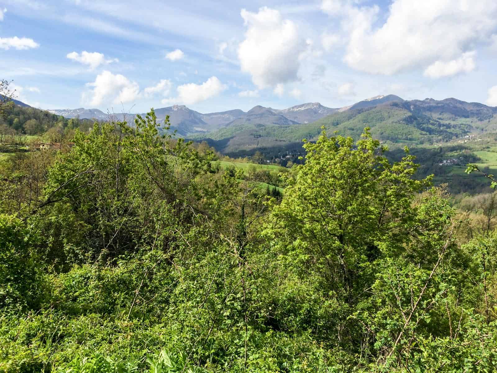 Trip to Parco Cento Laghi_May_2016_53.jpg - © European Wilderness Society CC BY-NC-ND 4.0