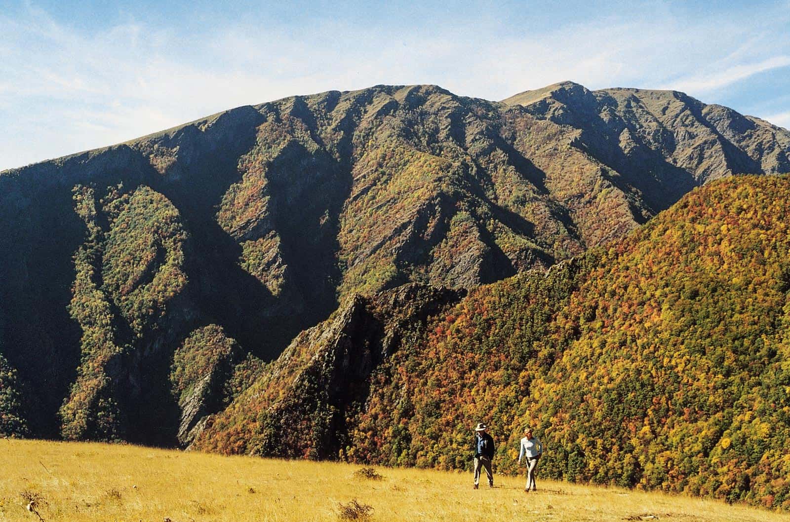 Central Balkan Wilderness - © All rights reserved