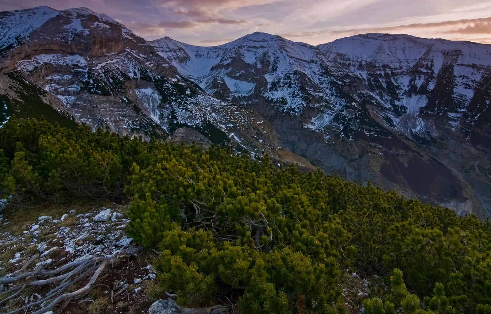 Majella National Park-02250225.jpg - European Wilderness Society  - CC NonCommercial-NoDerivates 4.0 International