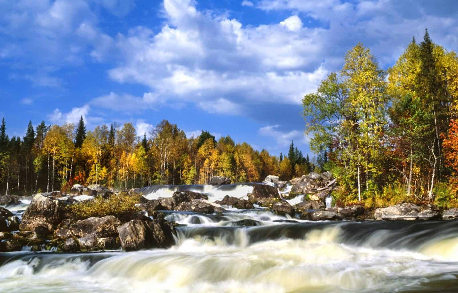 Paanajaervi National Park-22-2.png - European Wilderness Society  - CC NonCommercial-NoDerivates 4.0 International