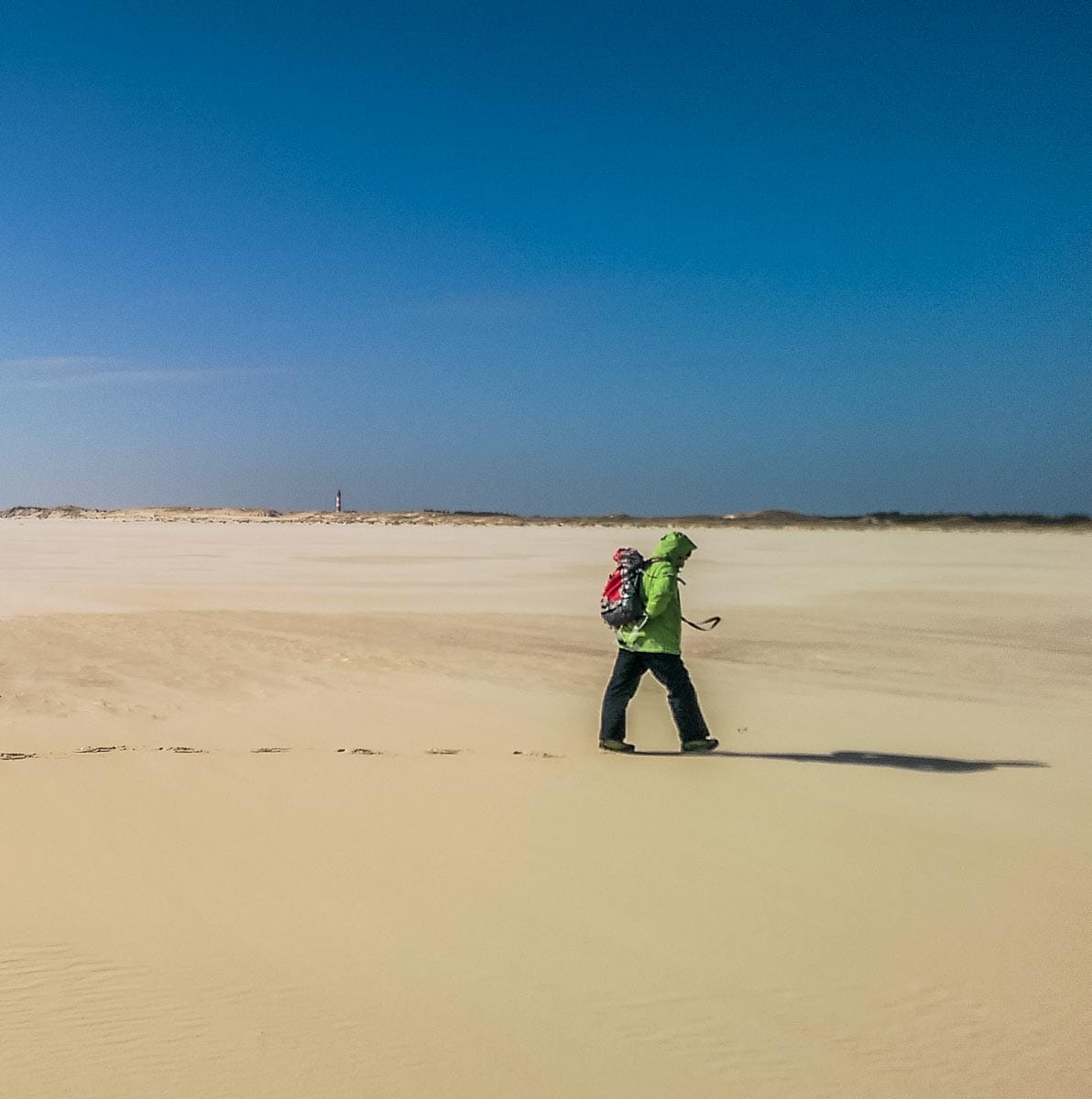 WILDCoast Amrum North Sea-4560.jpg - European Wilderness Society  - CC NonCommercial-NoDerivates 4.0 International