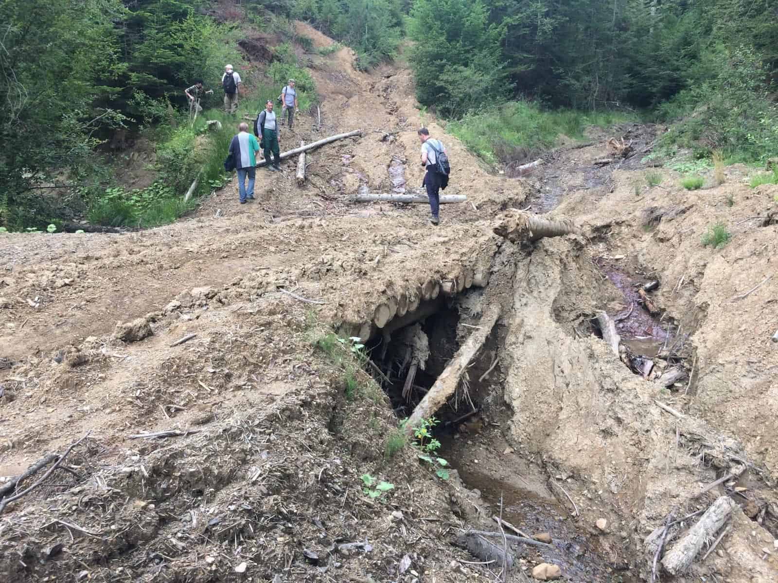 Ukraine Sanitary Logging Analysis - © All rights reserved