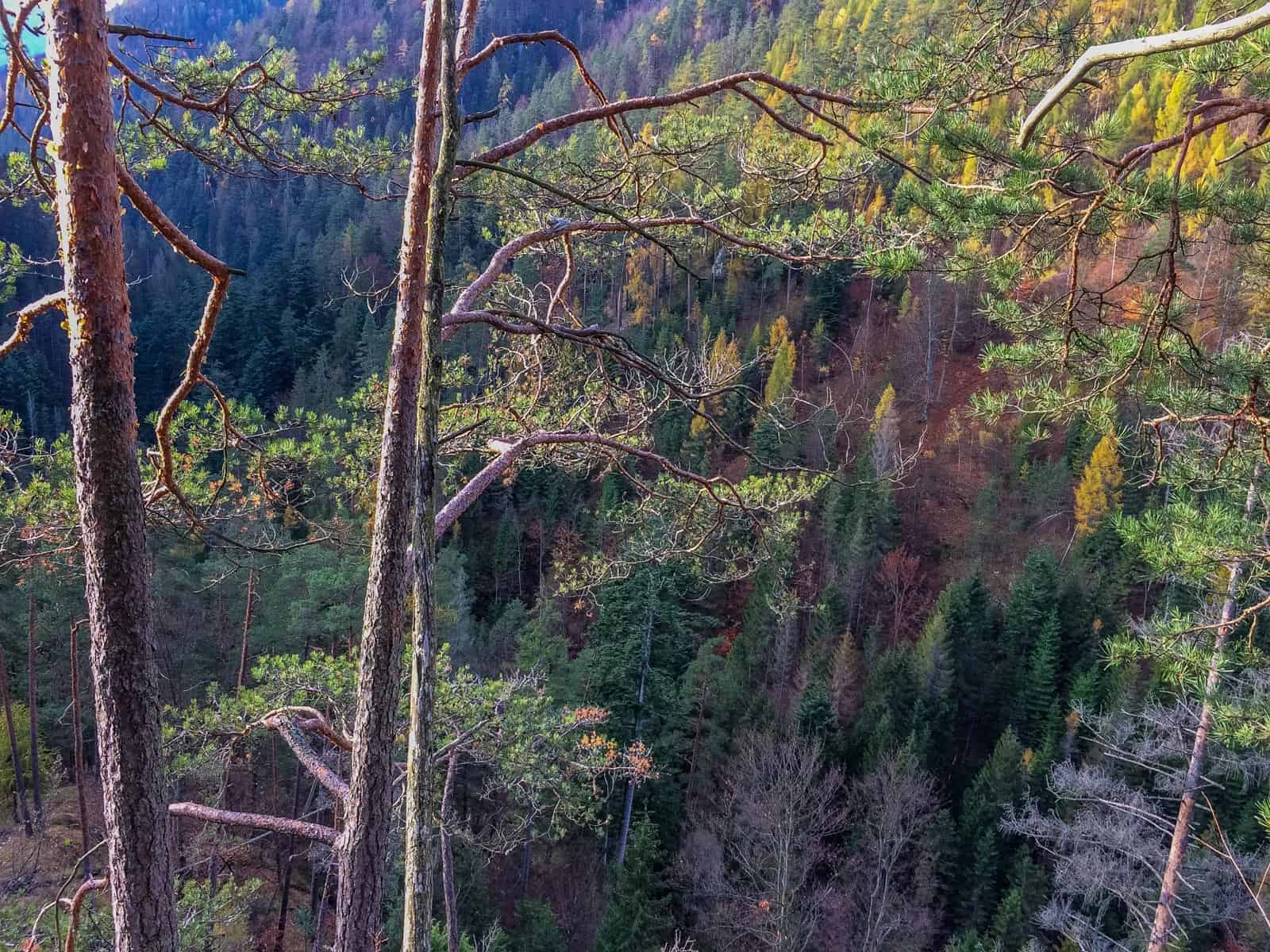 Slovensky Raj, Slovakia - European Wilderness Society - 00075-97.jpg - European Wilderness Society - CC NonCommercial-NoDerivates 4.0 International