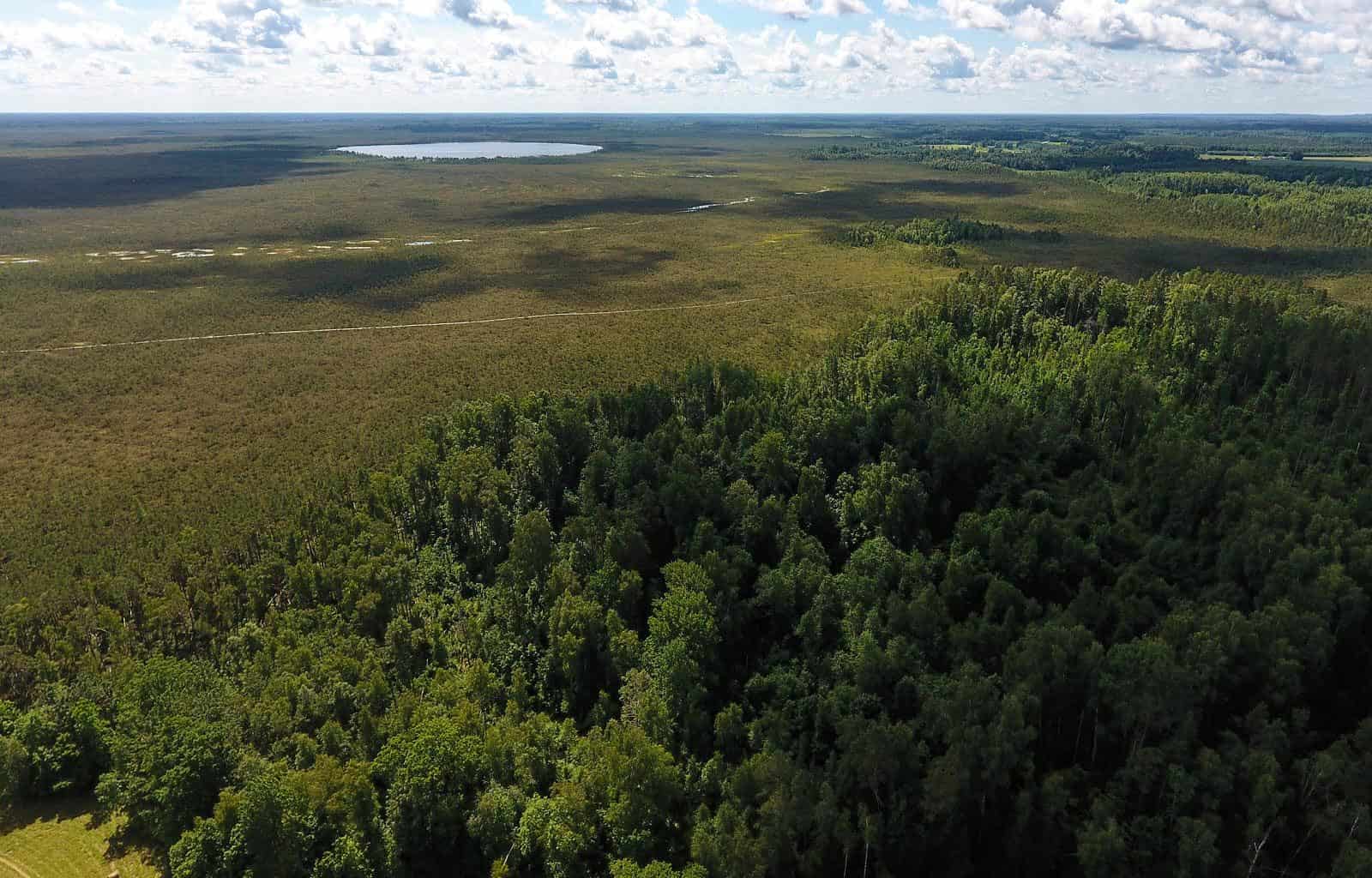 Teiču Wilderness - © All rights reserved