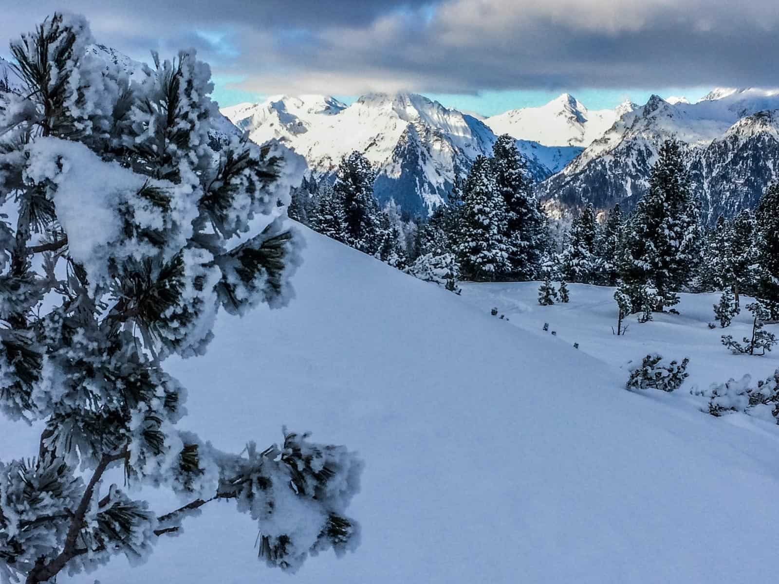 Biosphere Reserve Lungau - © All rights reserved