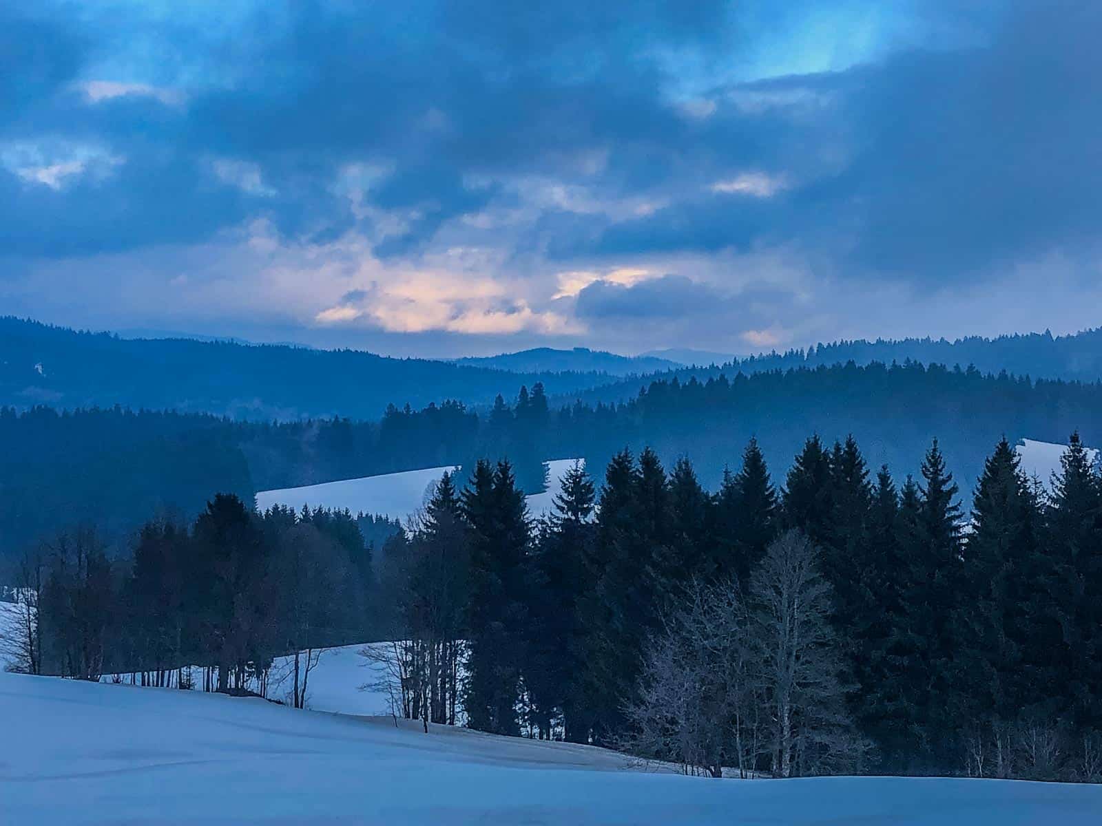 Bavarian National Park Sumava - © All rights reserved