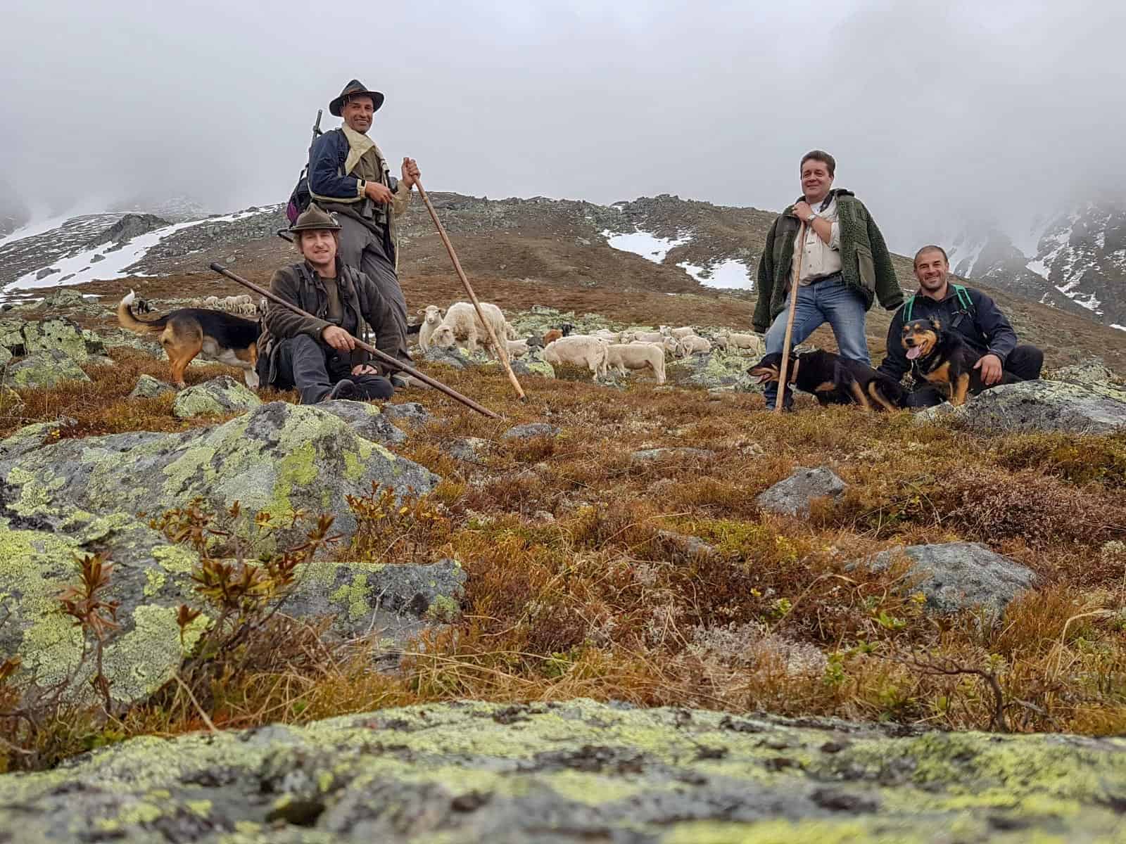 Herdenschutz in Tirol-15435.jpg - © European Wilderness Society CC BY-NC-ND 4.0