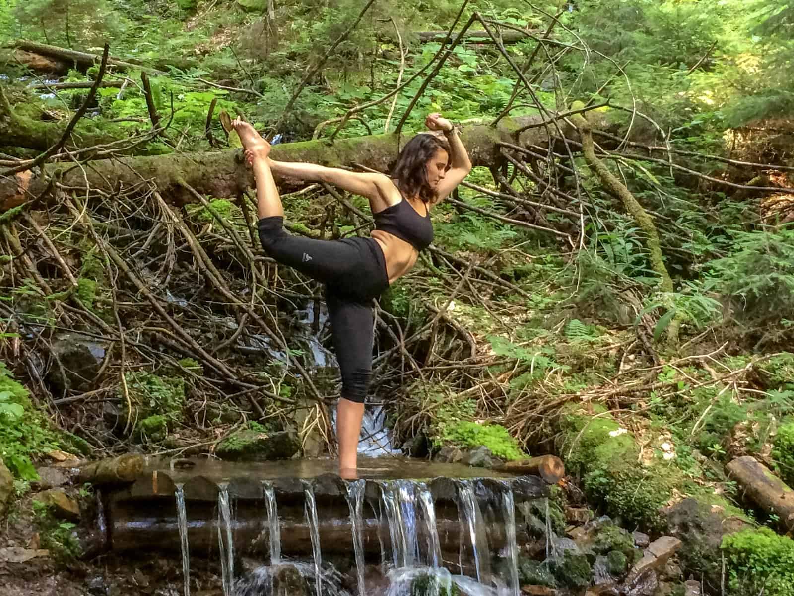 WILDArt NPP Synevyr Ukraine - © All rights reserved