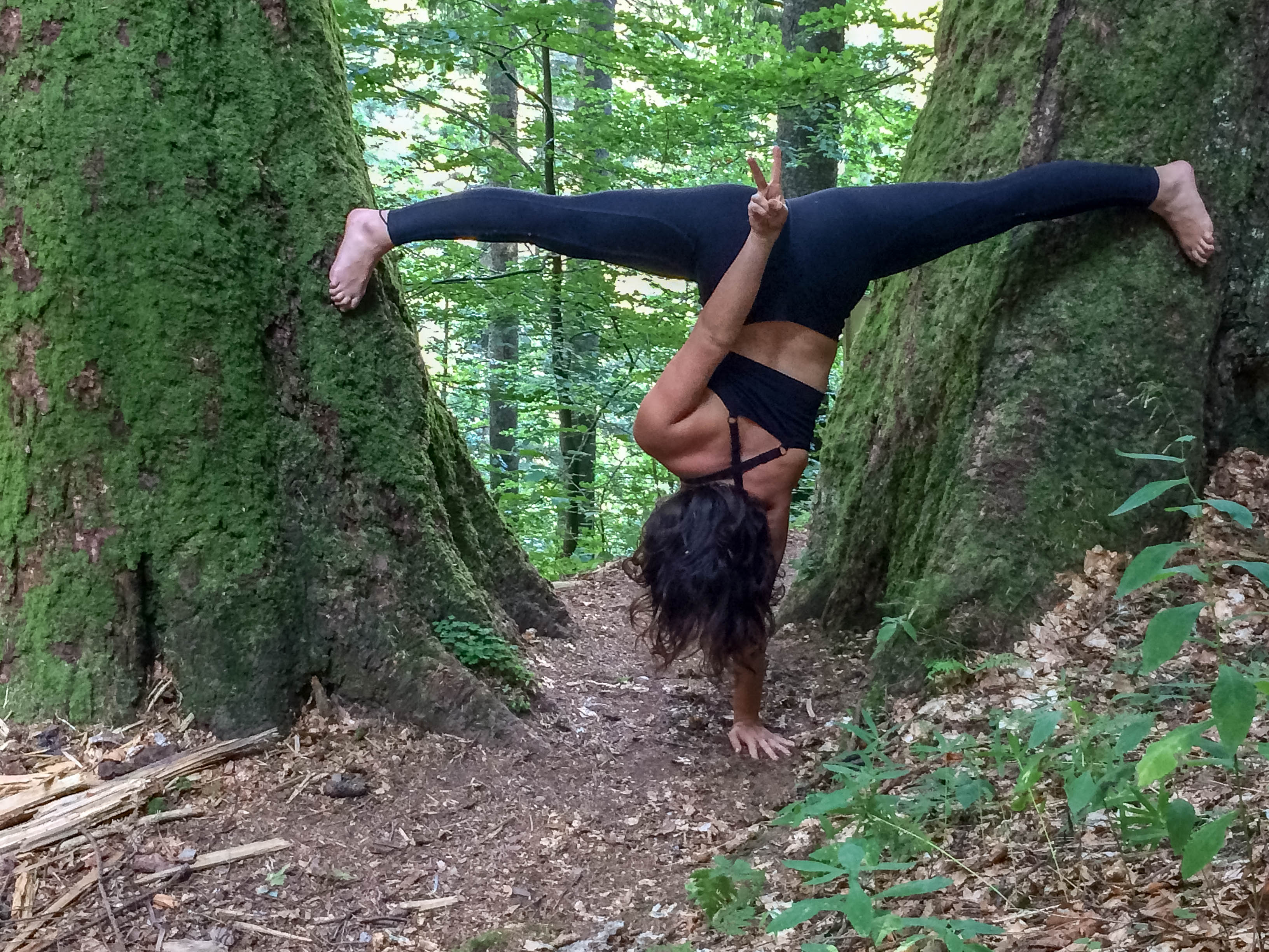 WILDArt NPP Synevyr Ukraine - © All rights reserved