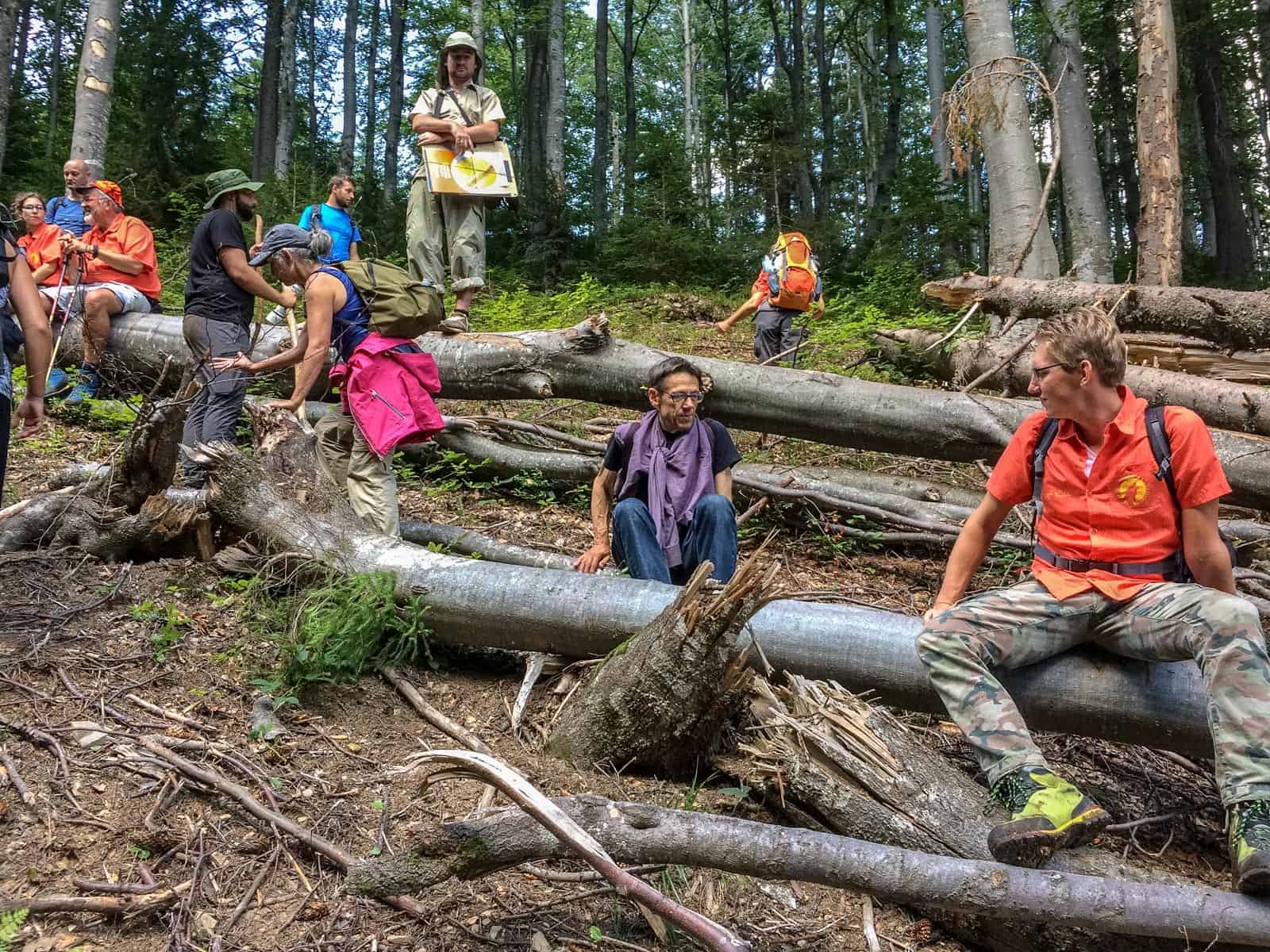 WILDArt NPP Synevyr Ukraine - © All rights reserved