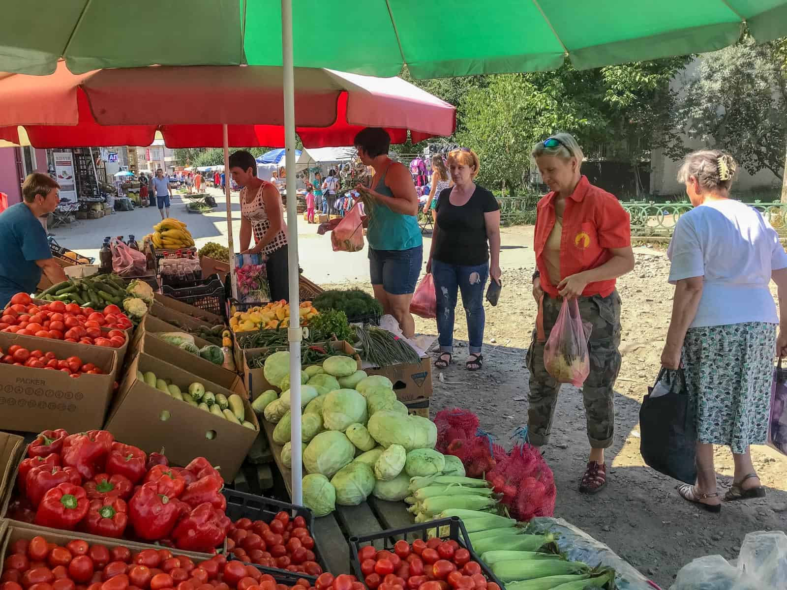 WILDArt NPP Synevyr Ukraine - © All rights reserved