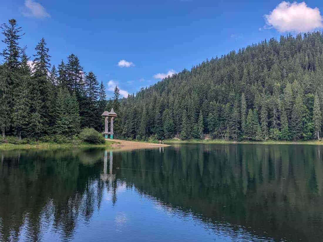 WILDArt NPP Synevyr Ukraine - © All rights reserved