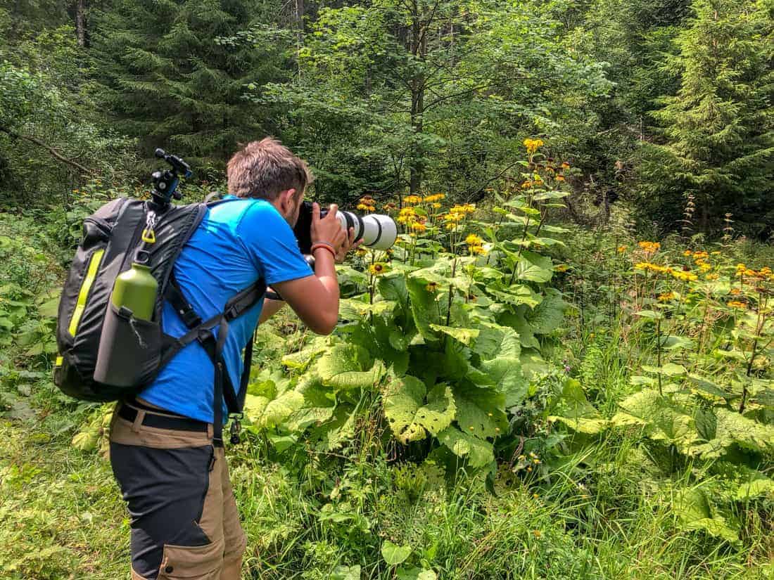 WILDArt NPP Synevyr Ukraine - © All rights reserved