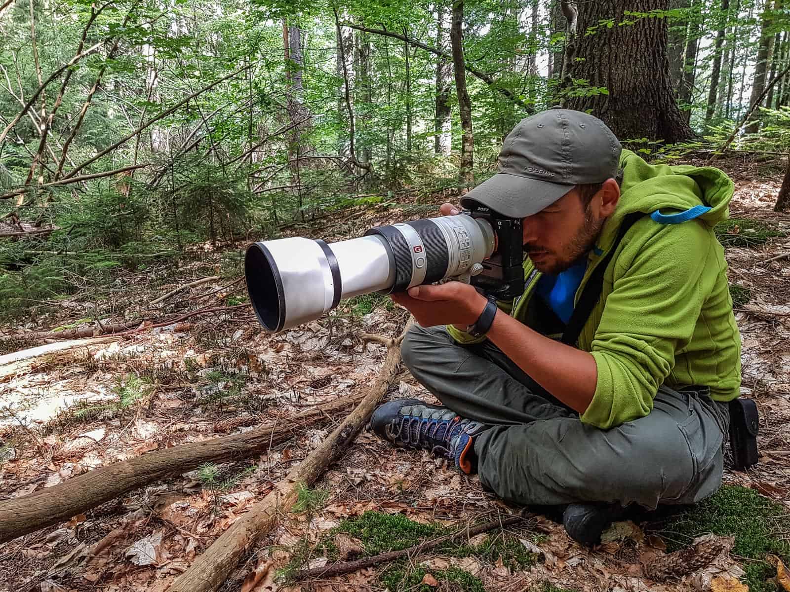 WILDArt NPP Synevyr Ukraine - © All rights reserved