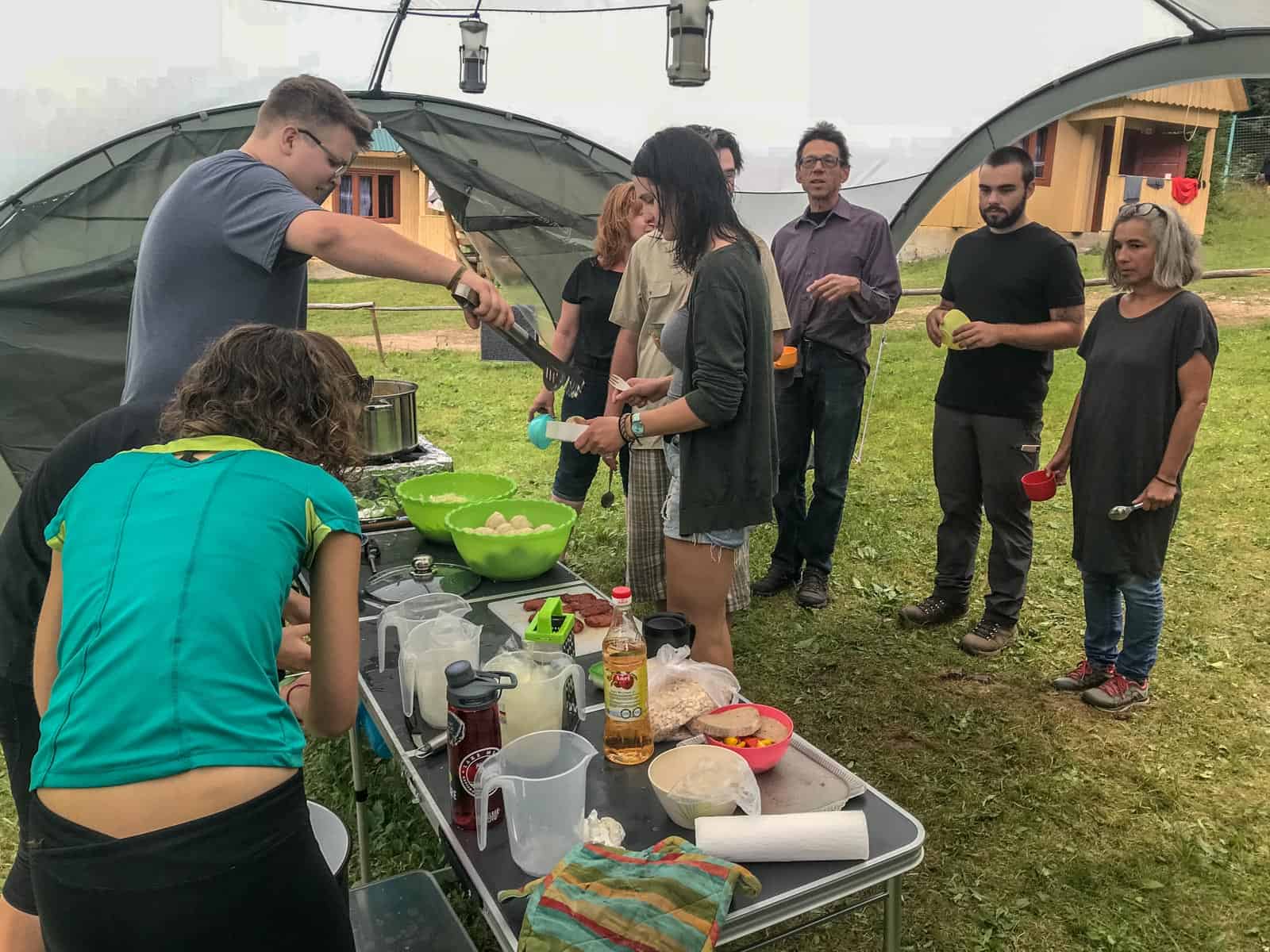 WILDArt NPP Synevyr Ukraine - © All rights reserved