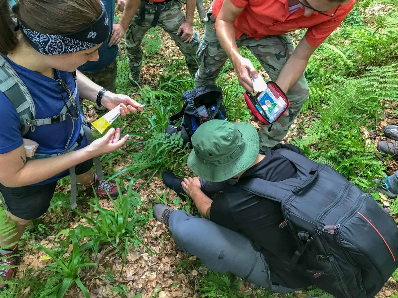 WILDArt NPP Synevyr Ukraine - © All rights reserved