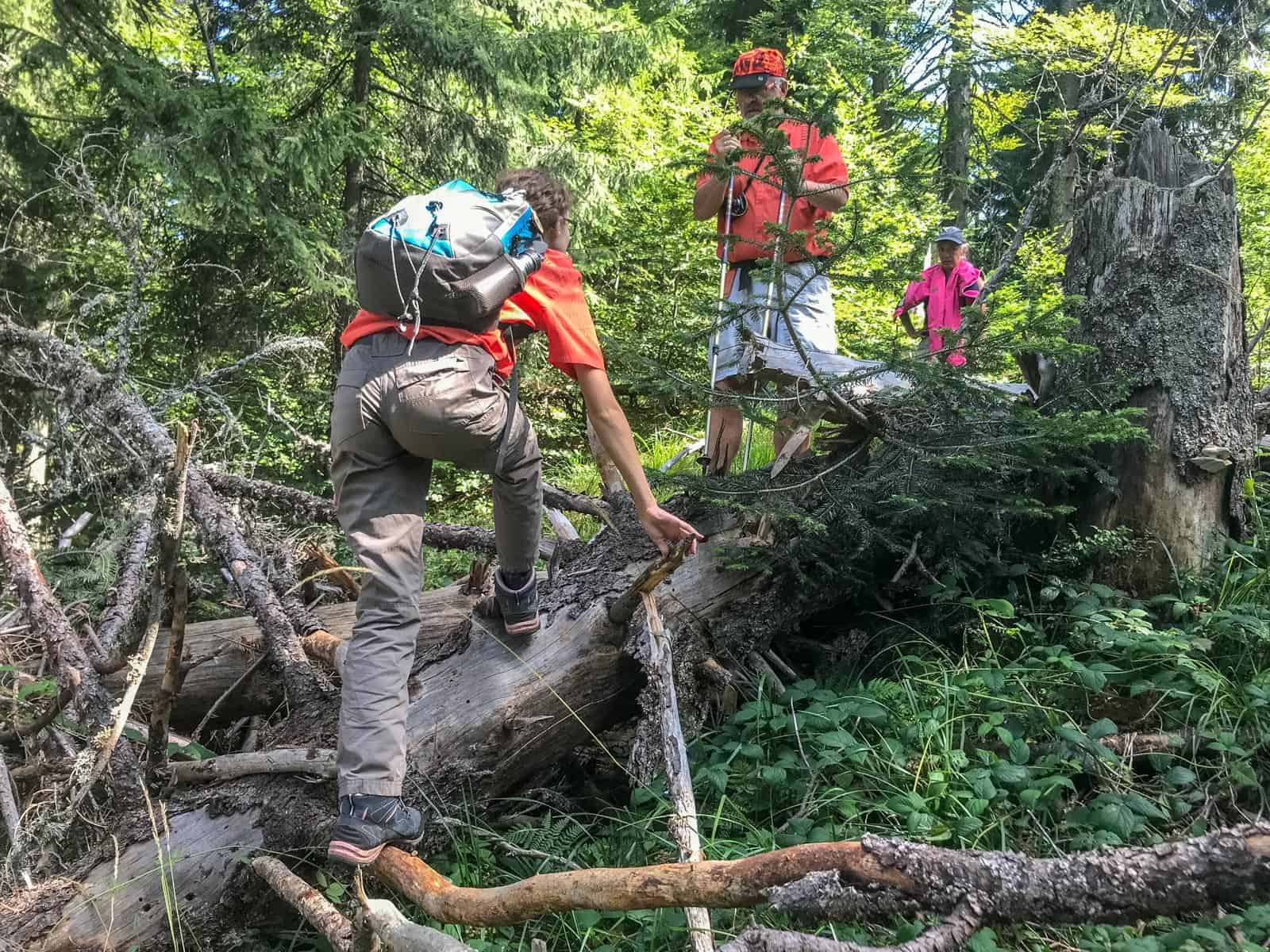 WILDArt Synevyr - 17230.JPG - European Wilderness Society  - CC NonCommercial-NoDerivates 4.0 International