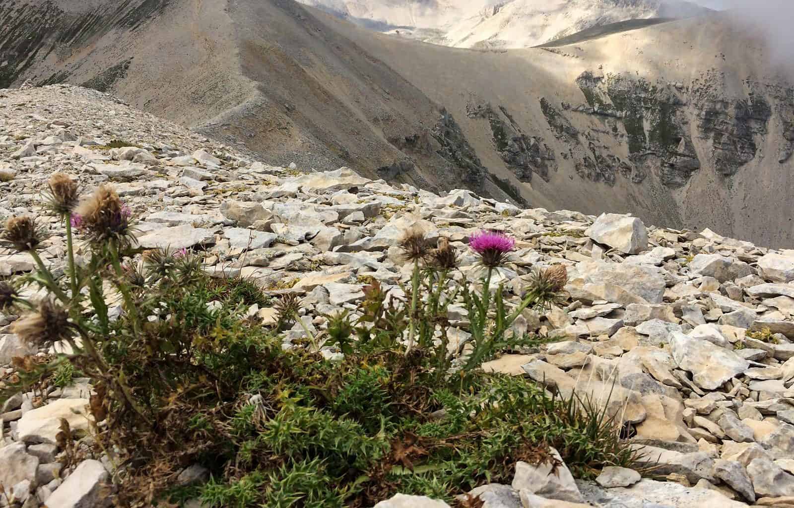 Majella Wilderness Audit 2018-21557.jpg - European Wilderness Society  - CC NonCommercial-NoDerivates 4.0 International