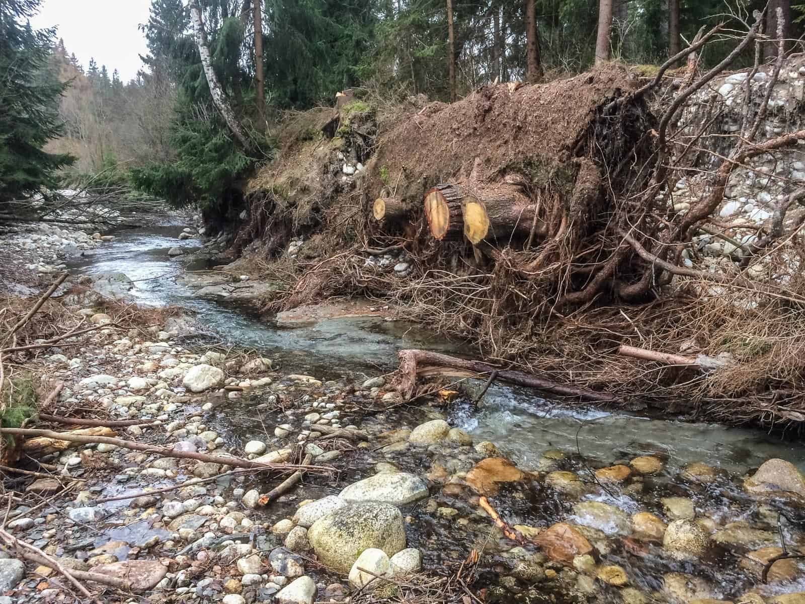 Bela River Destruction-218976.jpg - European Wilderness Society  - CC NonCommercial-NoDerivates 4.0 International