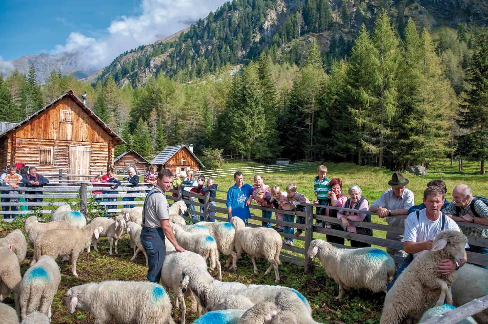 Biosphere Reserve Lungau impressions - © All rights reserved