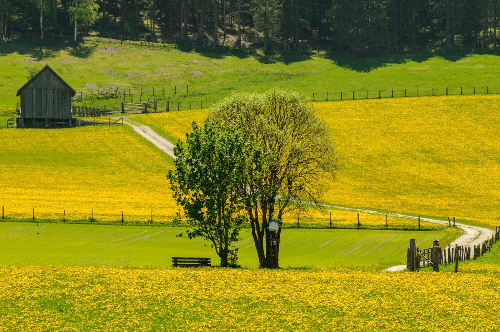Biosphere Reserve Lungau impressions - © All rights reserved