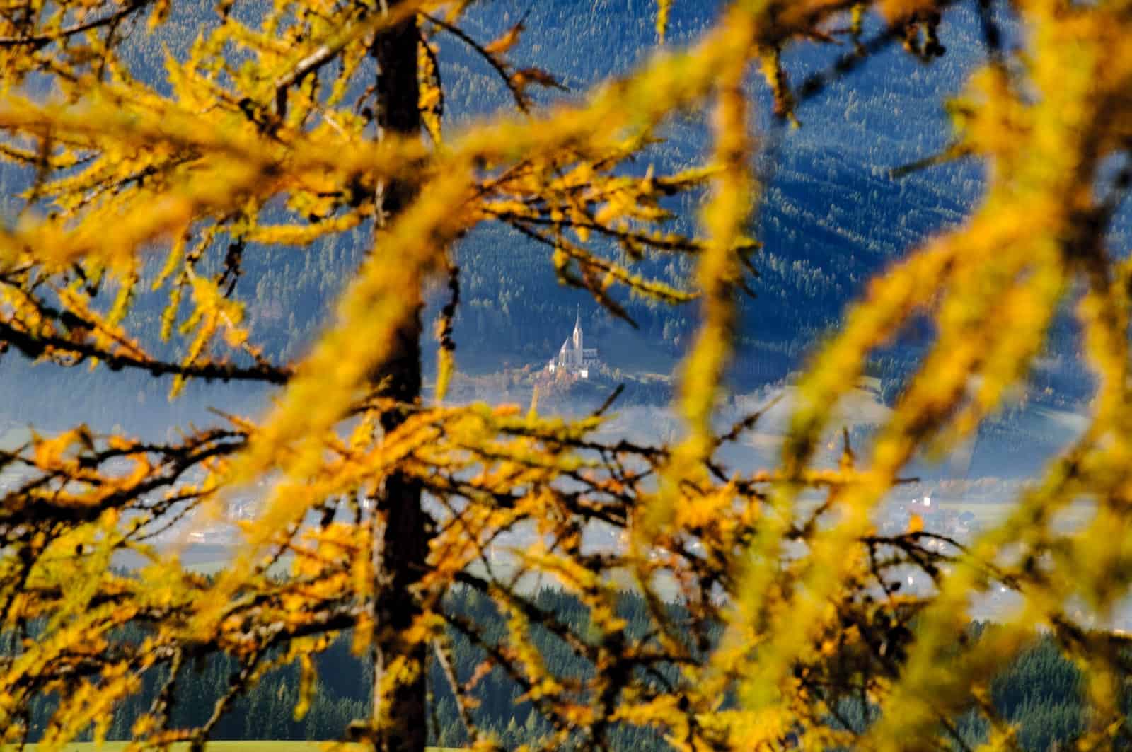 Biosphere Reserve Lungau impressions - © All rights reserved